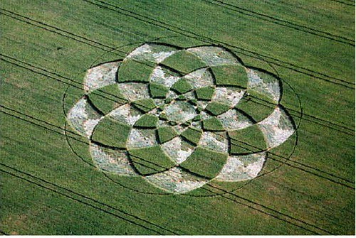 Mysterious Crop Circles: What Are Crop Circles And How Are They Made?