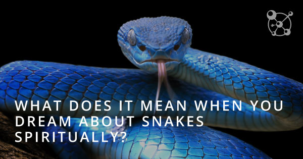 What Does it Mean When You Dream About Snakes Spiritually?