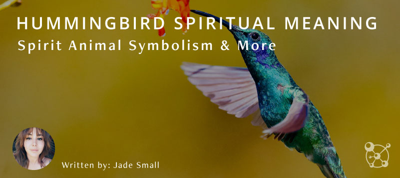 Hummingbird Spiritual Meaning, Spirit Animal Symbolism & More