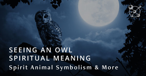 Seeing an Owl Spiritual Meaning, Spirit Animal Symbolism & More